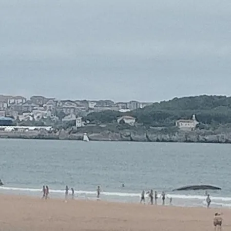 Piso En Apartamento *